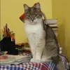 Отзыв от Аня Соколова